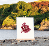 Unframed A5 print Beautiful Fan Weed 2 - Metacallophyllis laciniata