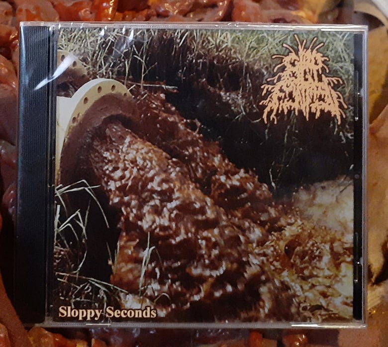 Image of SLOP FOUNTAIN - Sloppy Seconds CD