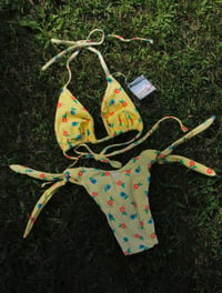 Image 1 of Pride & Joy Bikini Set- M 