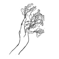 Image 2 of Dryad Hand