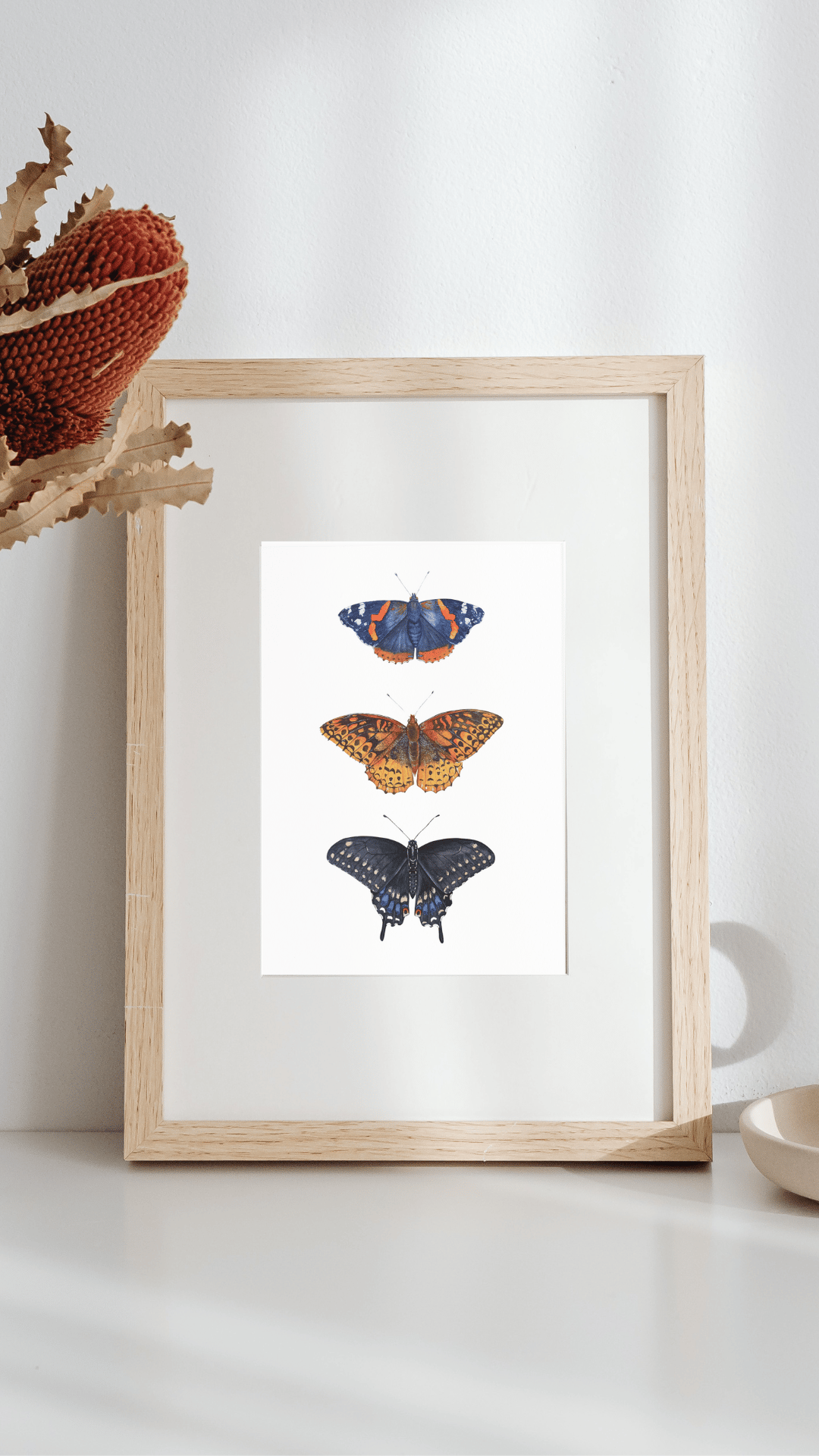 Image of FALL COLLECTION ~ Red Admiral, Great spangled Fritillary & Black Swallowtail PRINT 