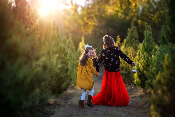 Image of CHRISTMAS TREE FARM SHORT SESSIONS 2024