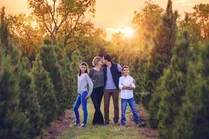 Image of CHRISTMAS TREE FARM SHORT SESSIONS 2025