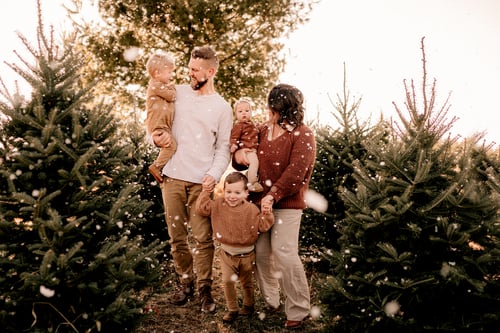 Image of LET IT SNOW- TREE FARM MINIS - 2025 $475