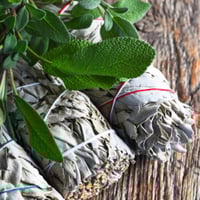 White Sage and Aloe Vera (30ML)