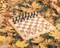 Image of 2023 Fall Open Tournament Registration