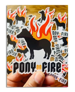 Image of Sticker Pony On Fire