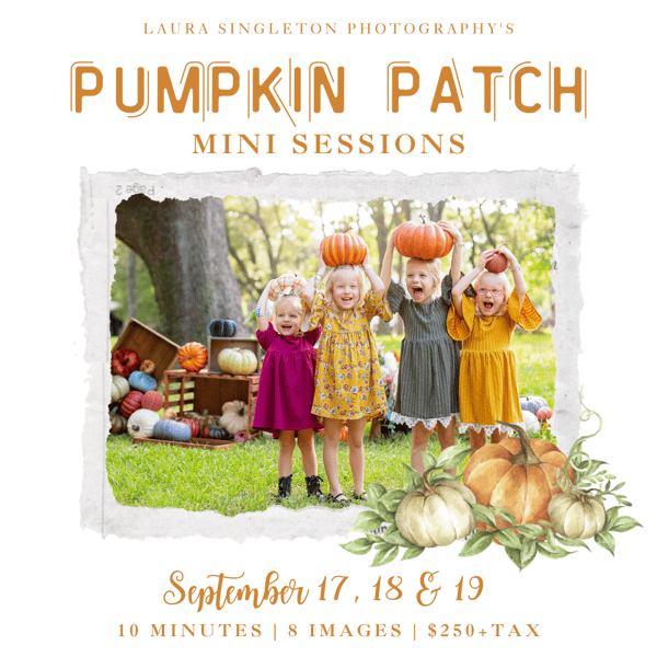 Image of Pumpkin Patch Minis