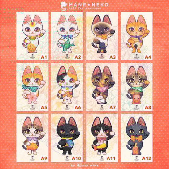 Image of MANE ★ NEKO ( type A )