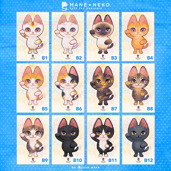 Image of MANE ★ NEKO ( type B )