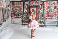 Image 2 of November 18th -Kringles Candy Shop (NO SANTA!) Holiday Shoot 
