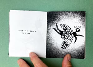 Image of FLYBOY GOES TO VISIT MOTHBOY (handmade book)