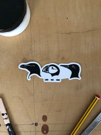 Auks Trio Sticker