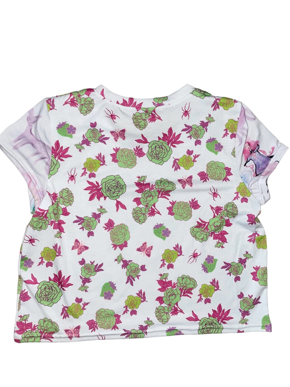 Image of Roses, Spiders, Strawberries, and Pink frosted lady on the sleeve
