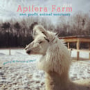 Image of Apifera Farm '24 calendar