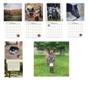 Image of Apifera Farm '24 calendar