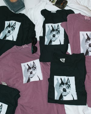 Image of BUGBUSTER! shirt + hoodie