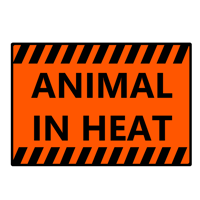 Image 2 of Animal In Heat Temporary Tattoo 