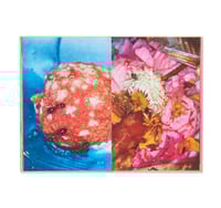 Image 4 of  RUBBISH, DIPPING SAUCE, GRASS PEONIE BUM by Maisie Cousins - Signed