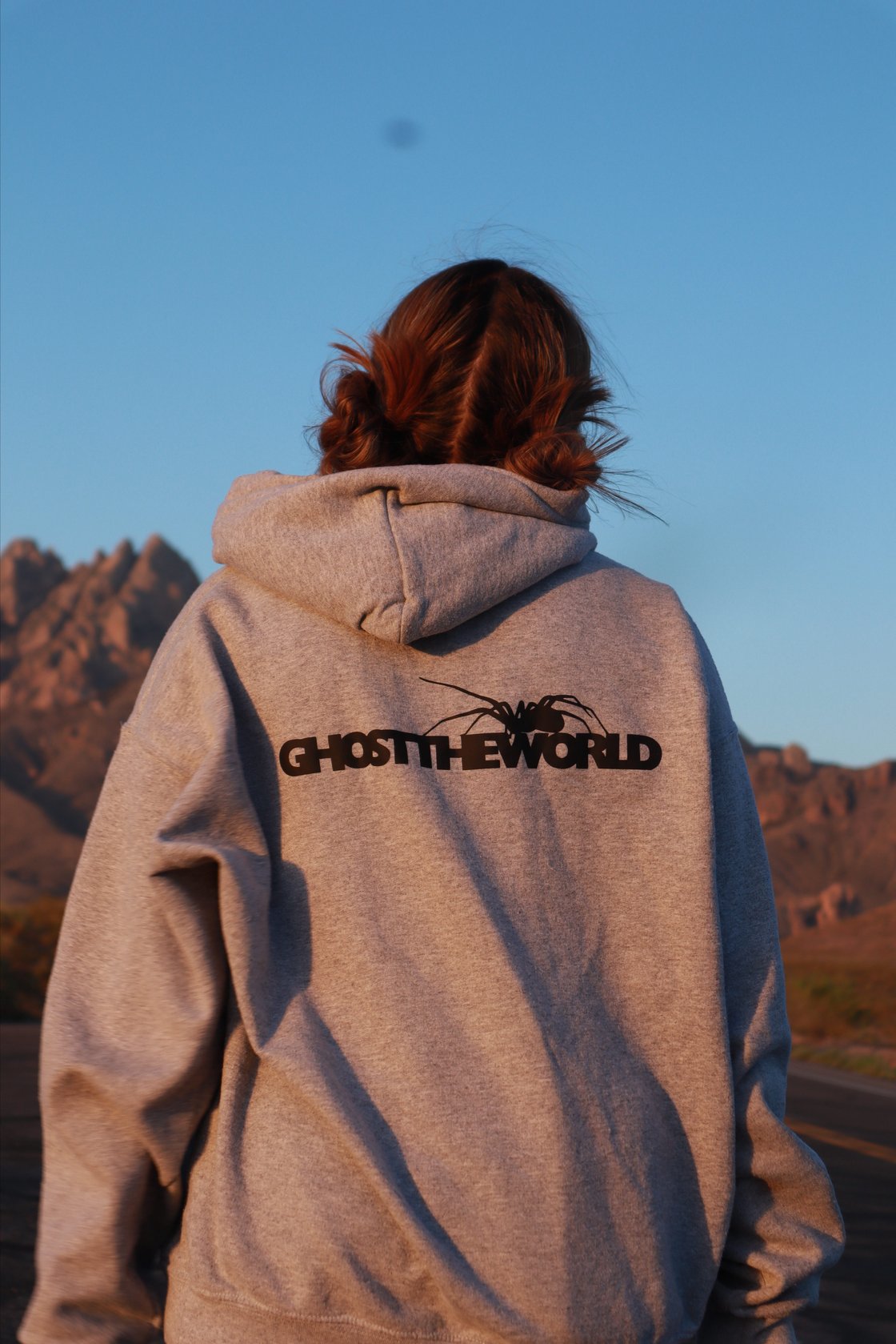 Image of GTW Spider Hoodie 