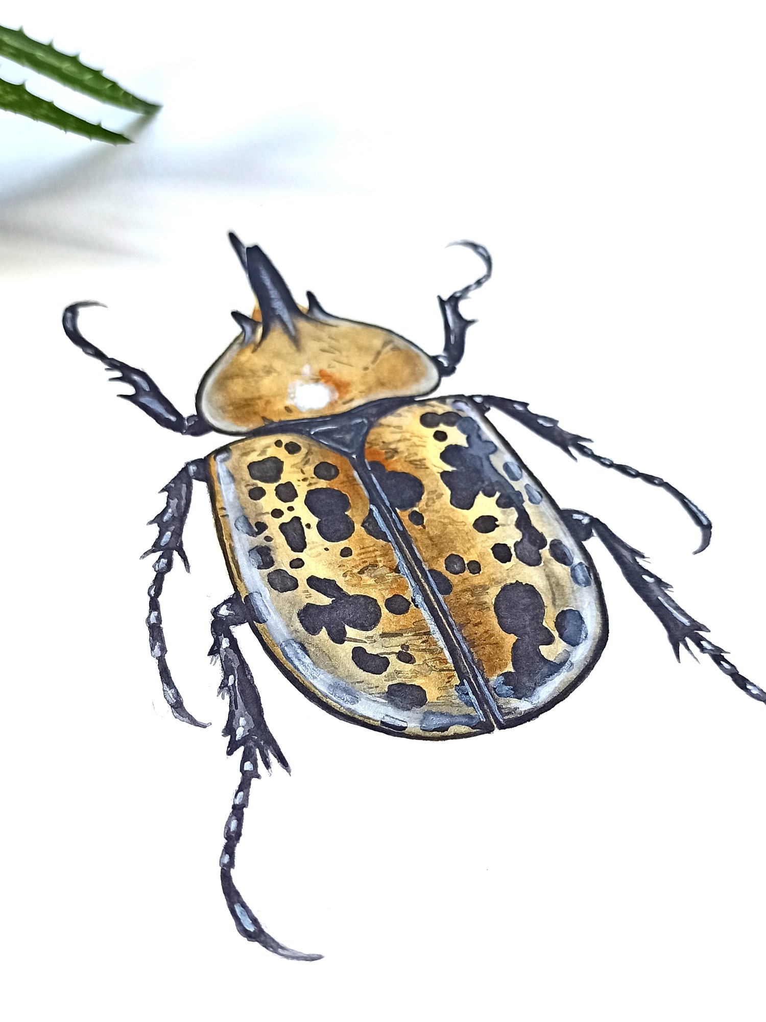 Image of Hercules Beetle ORIGINAL ARTWORK 