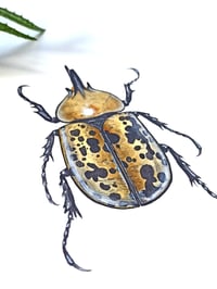 Image 3 of Hercules Beetle ORIGINAL ARTWORK 