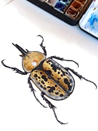 Image 4 of Hercules Beetle ORIGINAL ARTWORK 