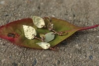 Image 1 of Di-vine earrings