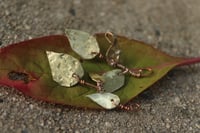 Image 5 of Di-vine earrings