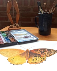 Image 3 of Great Spangled Fritillary Butterfly ORIGINAL ARTWORK 