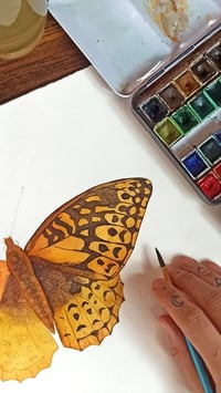 Image 6 of Great Spangled Fritillary Butterfly ORIGINAL ARTWORK 