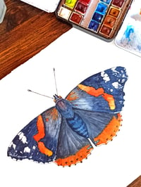 Image 6 of Admiral Butterfly ORIGINAL ARTWORK 