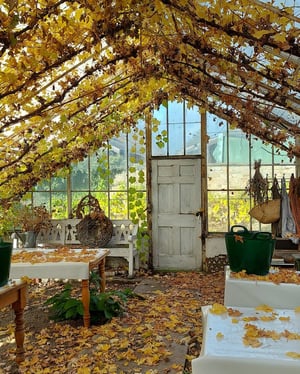 Image of Autumn Wreath Workshop 