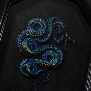 Image of Black Aura Snake Skeleton