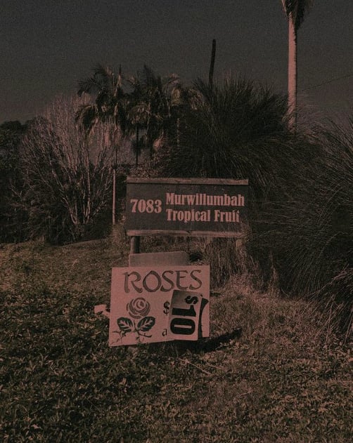 Image of Roadside Roses tee