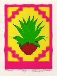 Siglo (Small, 2023)