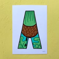 Image 2 of A-CORN