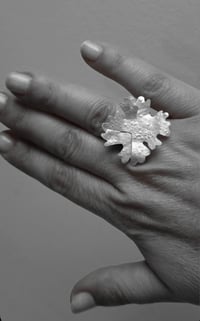 Image 4 of Anillo Colección CORAL