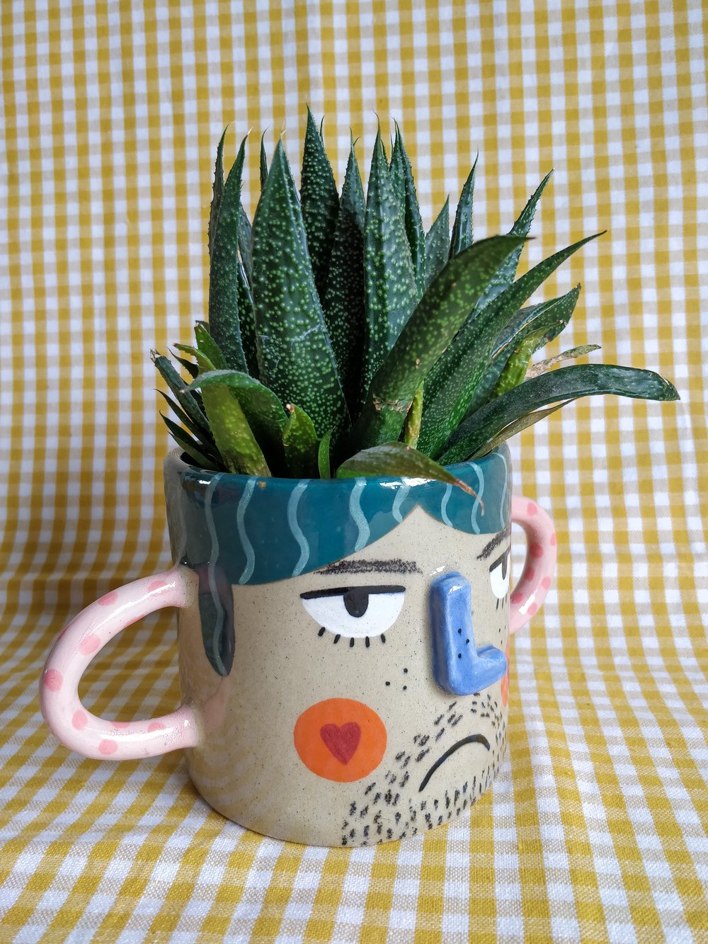 'Hank' Grumpy Plant pot