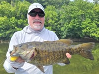 Image of Jim Richmond Excalibur Bugs