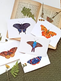 Image 1 of Fall Butterflies Postcard Set 