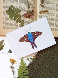 Image 4 of Fall Butterflies Postcard Set 