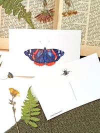 Image 5 of Fall Butterflies Postcard Set 