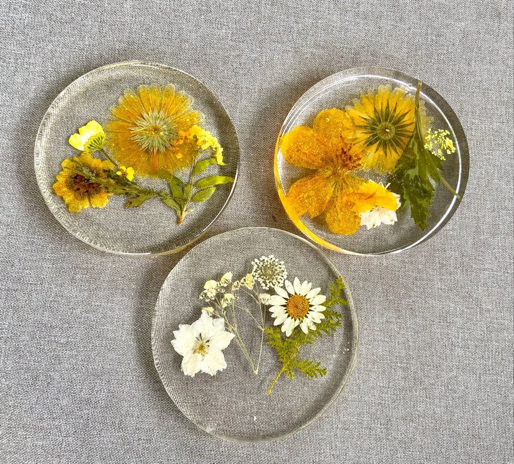 Pressed Flower Resin Coasters, 4x4