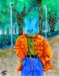 Peep on a Walk