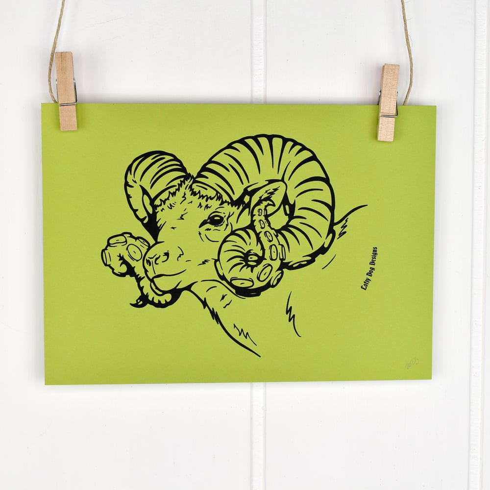 Sheepish 5x7 Screen Print