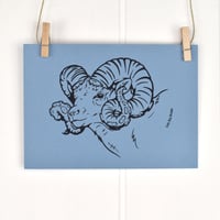 Image 2 of Sheepish 5x7 Screen Print