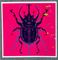 Holographic Beetle Print