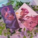Misc Prints