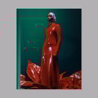 Image 1 of Campbell Addy : Feeling Seen (Signed)